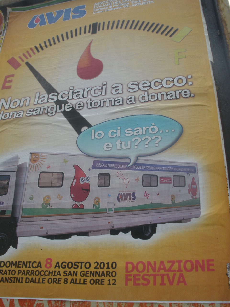 AVIS Molfetta: donazione straordinaria